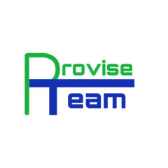 Provise Team OÜ